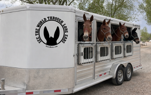 Truck & Trailer Vinyl