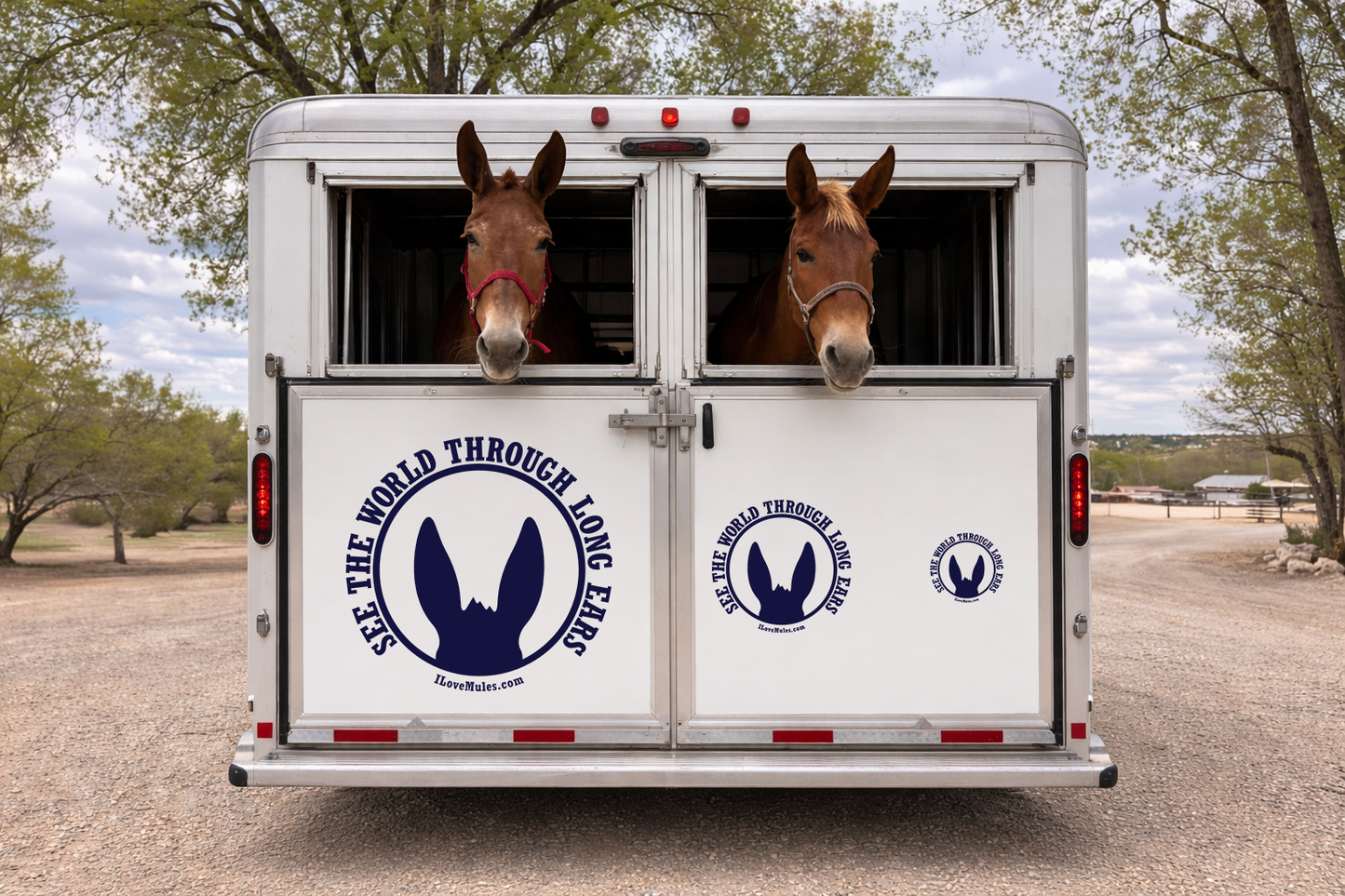 See the World! Long Ears Vinyl Decal