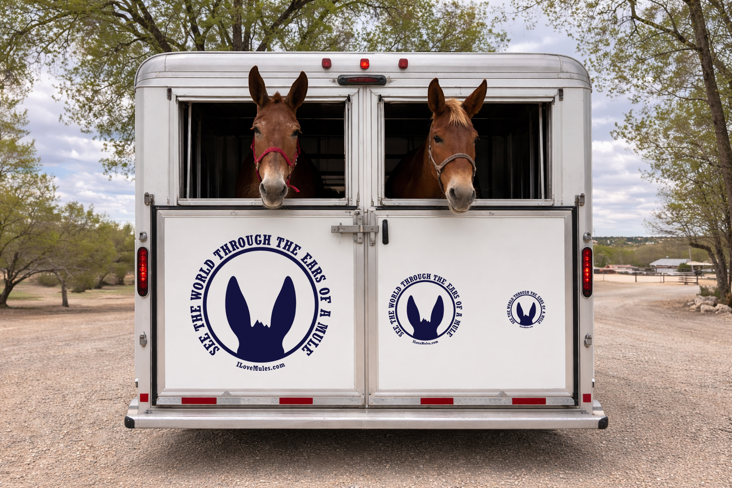 See the World! Mule Ears Vinyl Decal