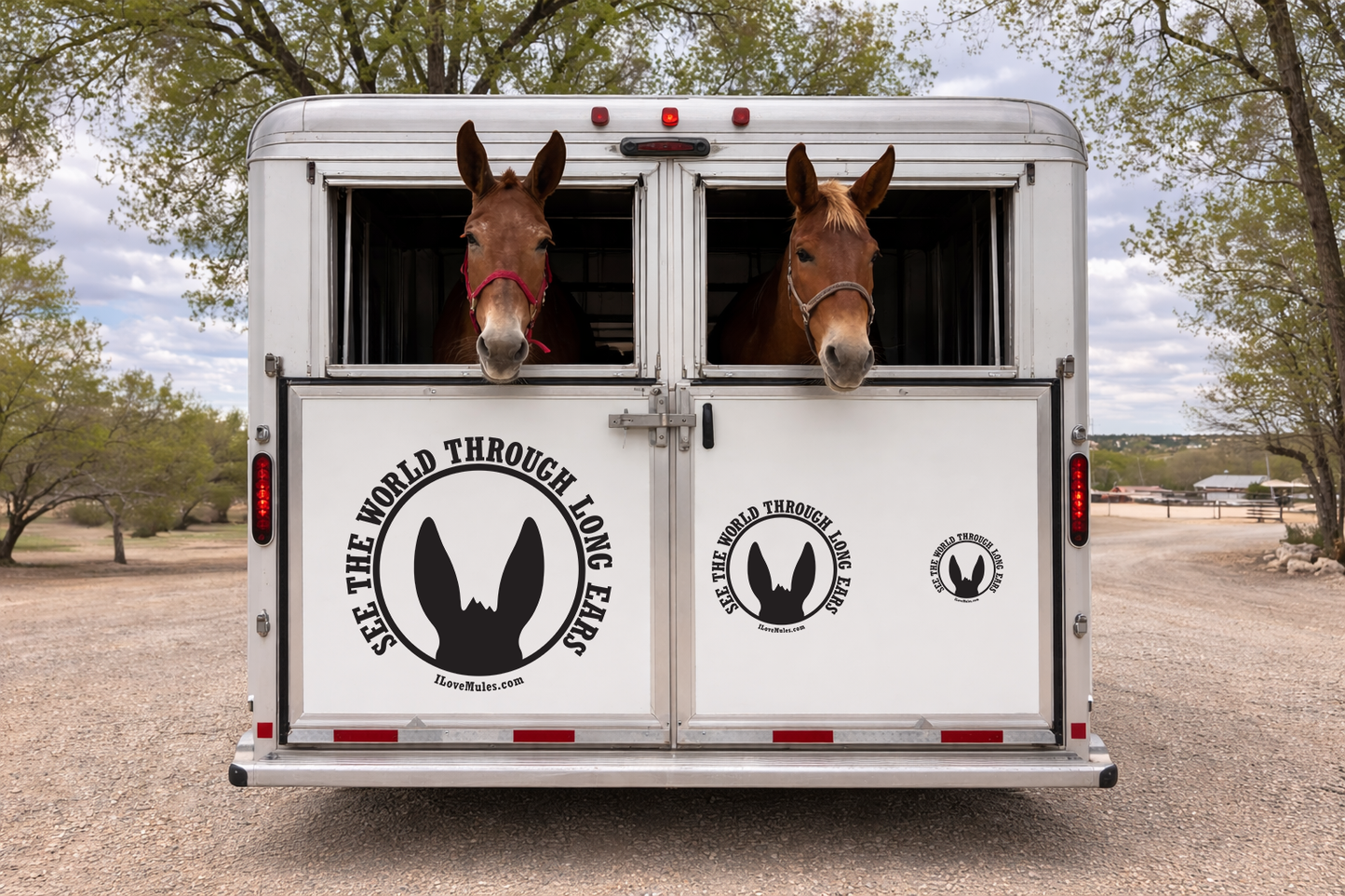 See the World! Long Ears Vinyl Decal