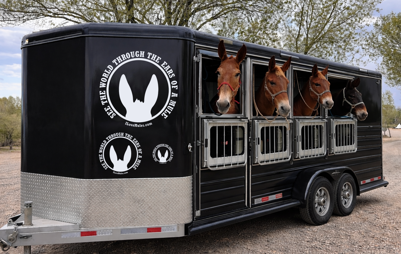 See the World! Mule Ears Vinyl Decal